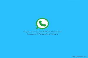 Cara Menonaktifkan Download Otomatis di WhatsApp Cara Menonaktifkan Download Otomatis di WhatsApp