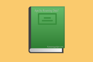 Roaming Data Roaming Data