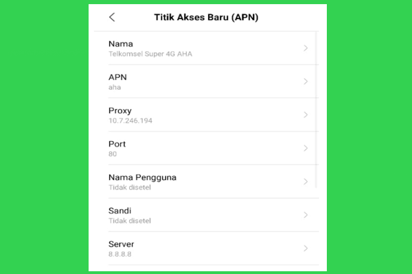 APN Telkomsel AHA New