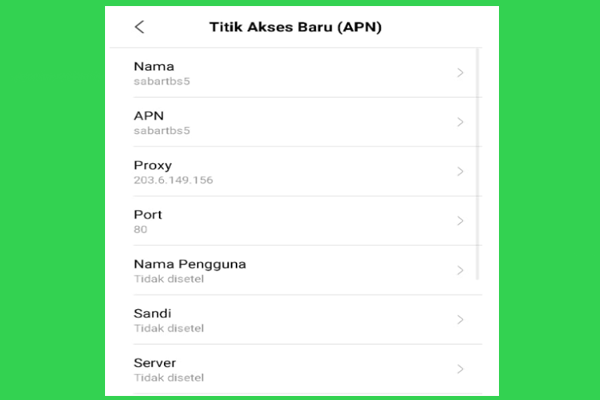 APN Telkomsel Sabartbs