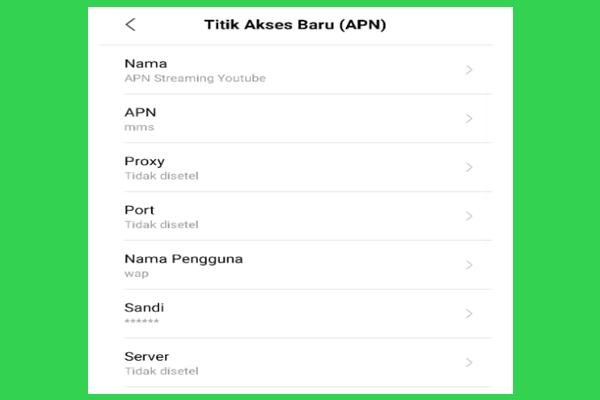 APN Telkomsel Untuk Streaming Youtube