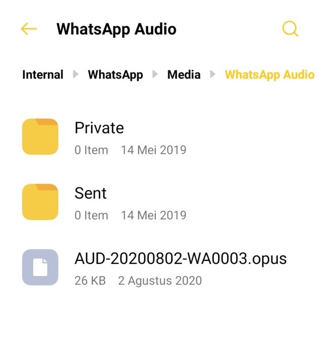 Cara Menemukan File Voice Note WhatsApp