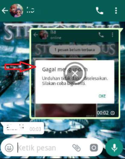 Penyebab WhatsApp Tidak Bisa Menerima Gambar