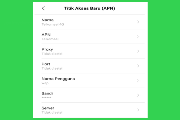 Setting APN Telkomsel 4G Tercepat