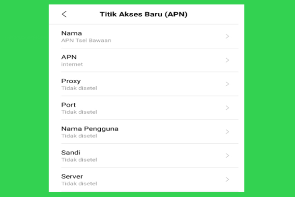 Setting APN Telkomsel Bawaan