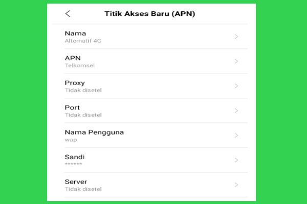 Settingan APN Telkomsel Alternatif