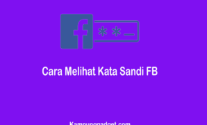 Cara Melihat Kata Sandi FB Sendiri Dengan Mudah