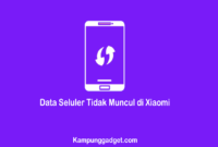 Cara Mengatasi Data Seluler Tidak Muncul di Xiaomi
