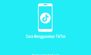 Cara Menggunakan TikTok