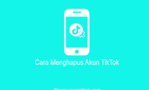 Cara Menghapus Akun TikTok