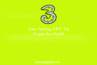 Cara Setting APN Tri Cepat dan Stabil