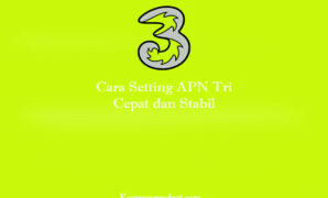 Cara Setting APN Tri Cepat dan Stabil