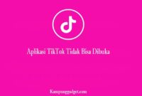 Aplikasi TikTok Tidak Bisa Dibuka Aplikasi TikTok Tidak Bisa Dibuka