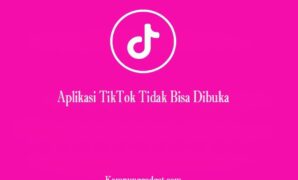 Aplikasi TikTok Tidak Bisa Dibuka