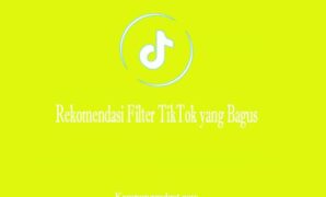 Rekomendasi Filter TikTok yang Bagus