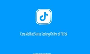 Cara Melihat Status Sedang Online di TikTok