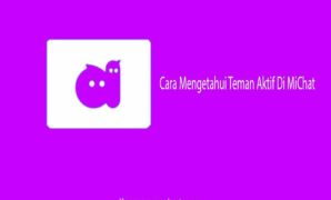 Cara Mengetahui Teman Aktif Di MiChat