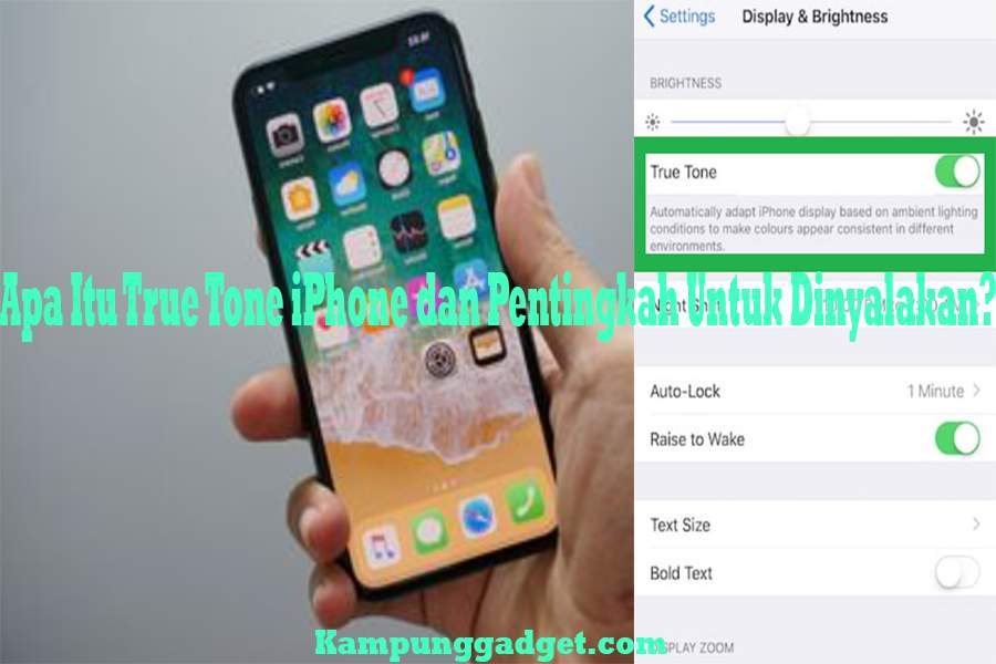 Apa Itu True Tone iPhone dan Pentingkah Untuk Dinyalakan