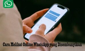 Cara Melihat Online WhatsApp yang Disembunyikan