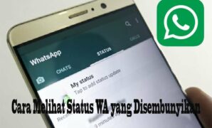 Cara Melihat Status WA yang Disembunyikan